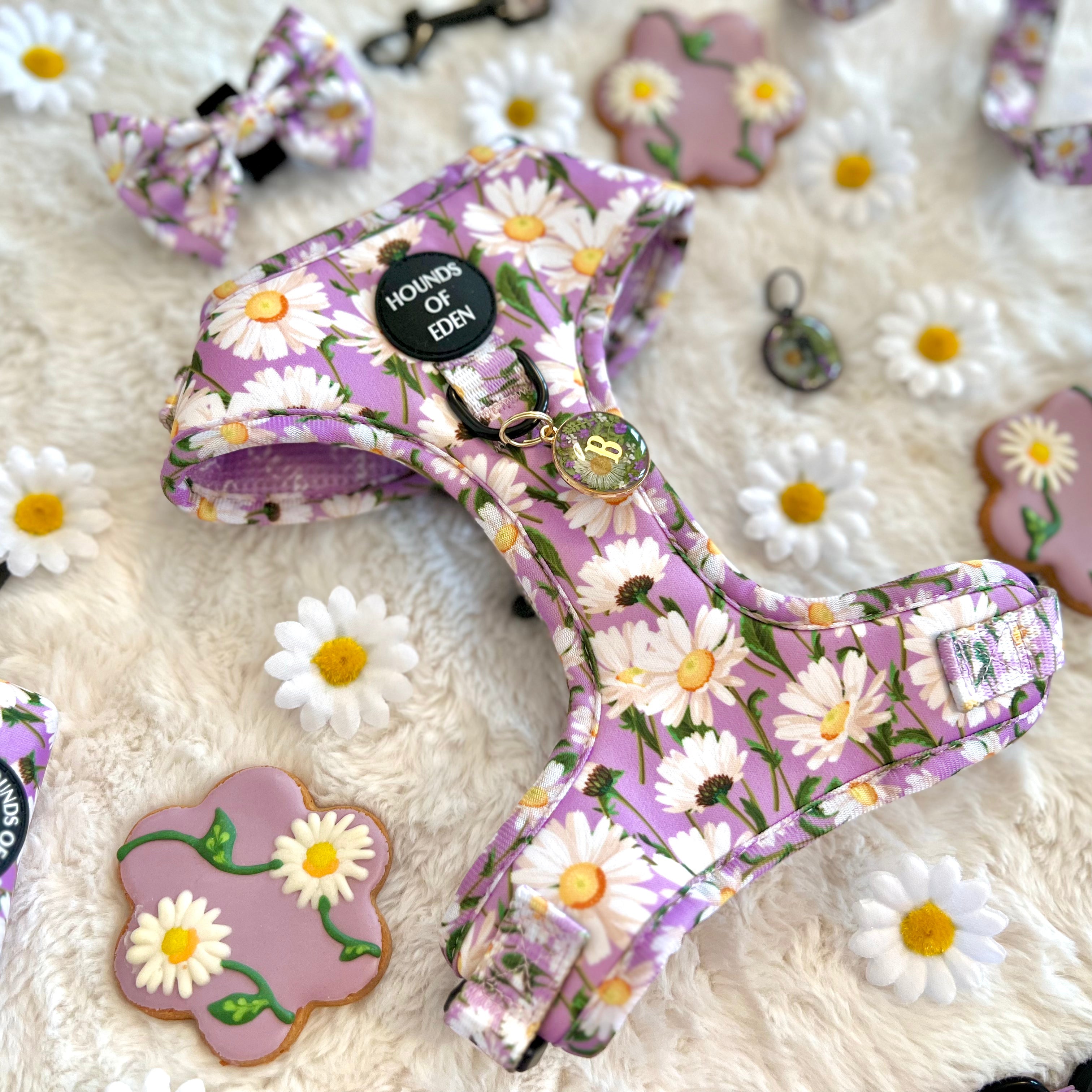 Daisy Dreams Design Dog Harness