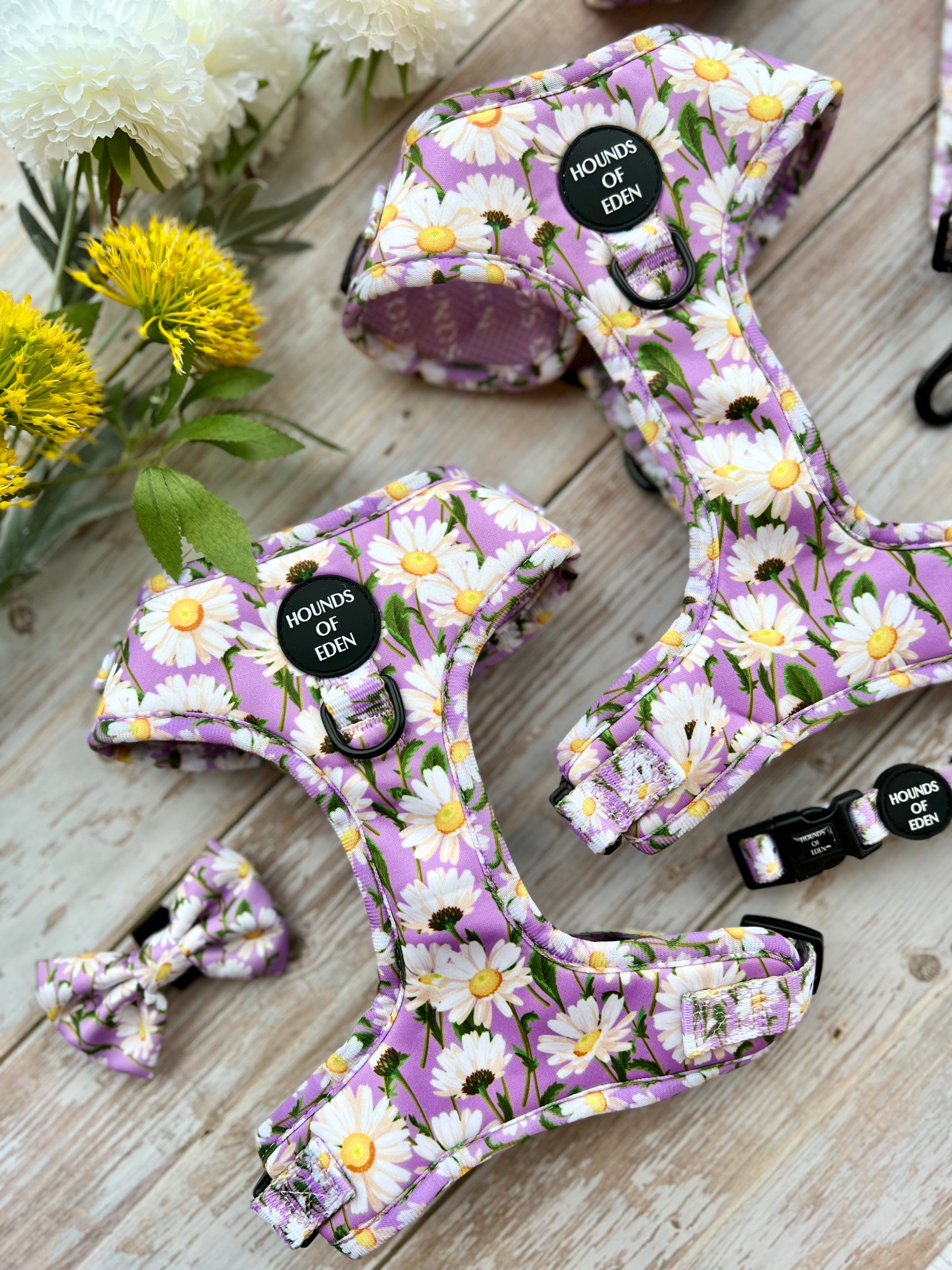 Daisy Dreams Design Dog Harness