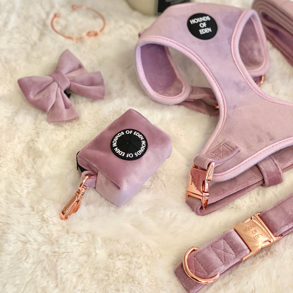 Lilac Dreams - Lilac Velvet Dog Harness with Rose Gold Metal Hardware