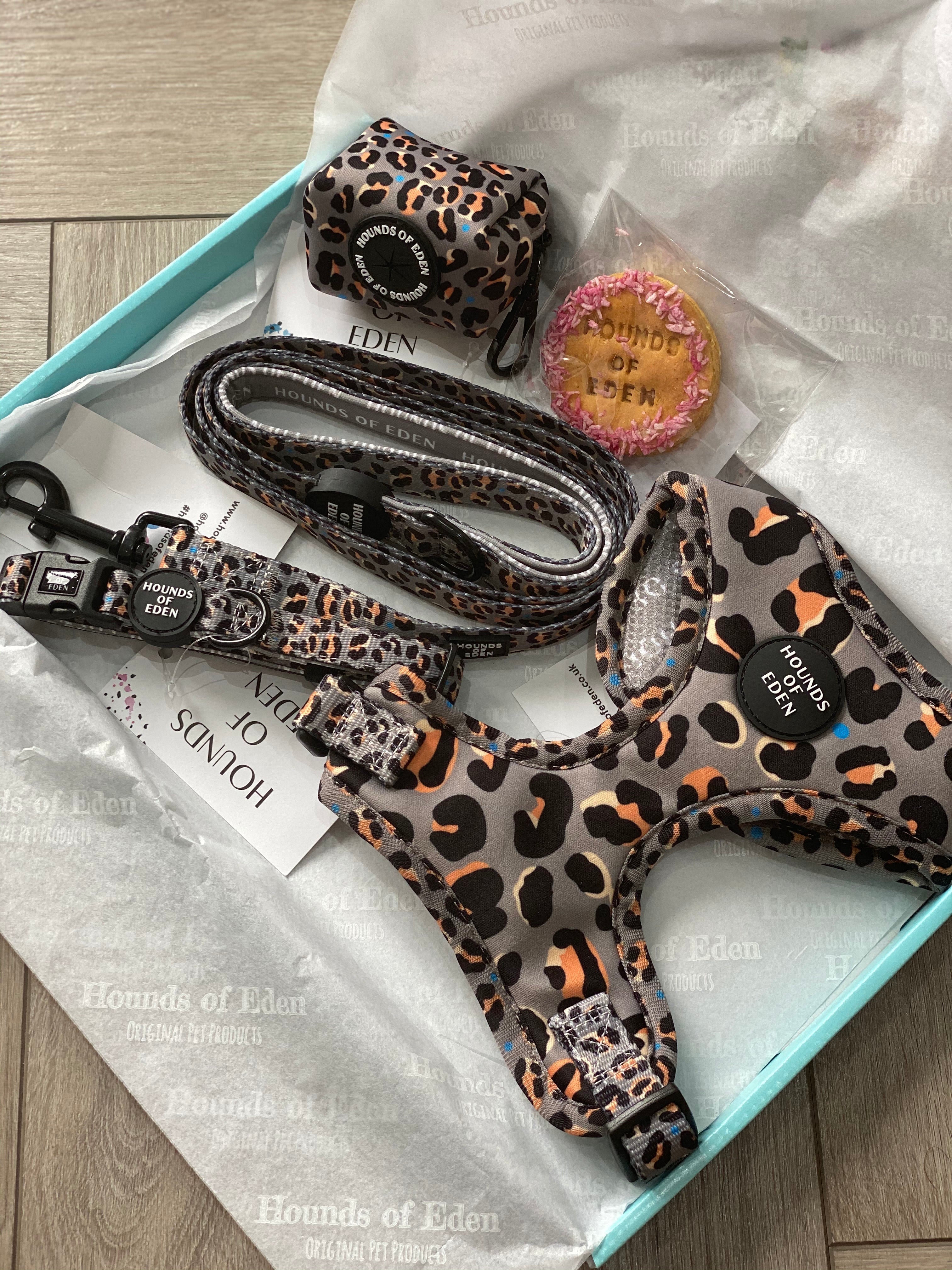 Steel Leopard khaki grey dog collar with leopard-print harness by Hounds of Eden