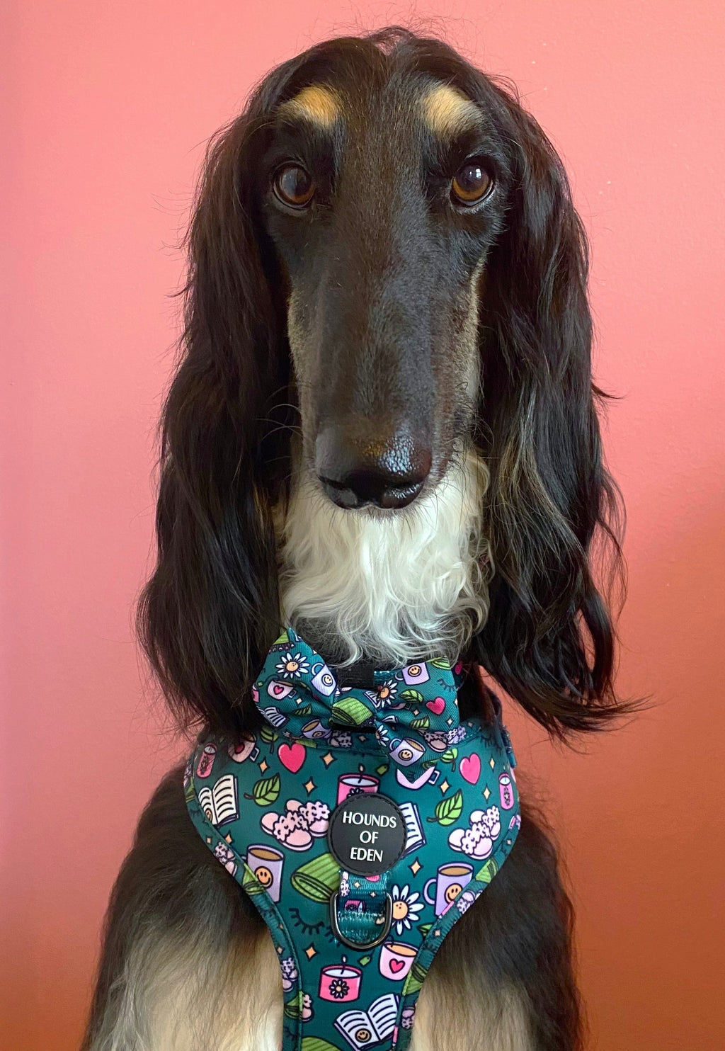 Self Care Design Poop Bag Holder