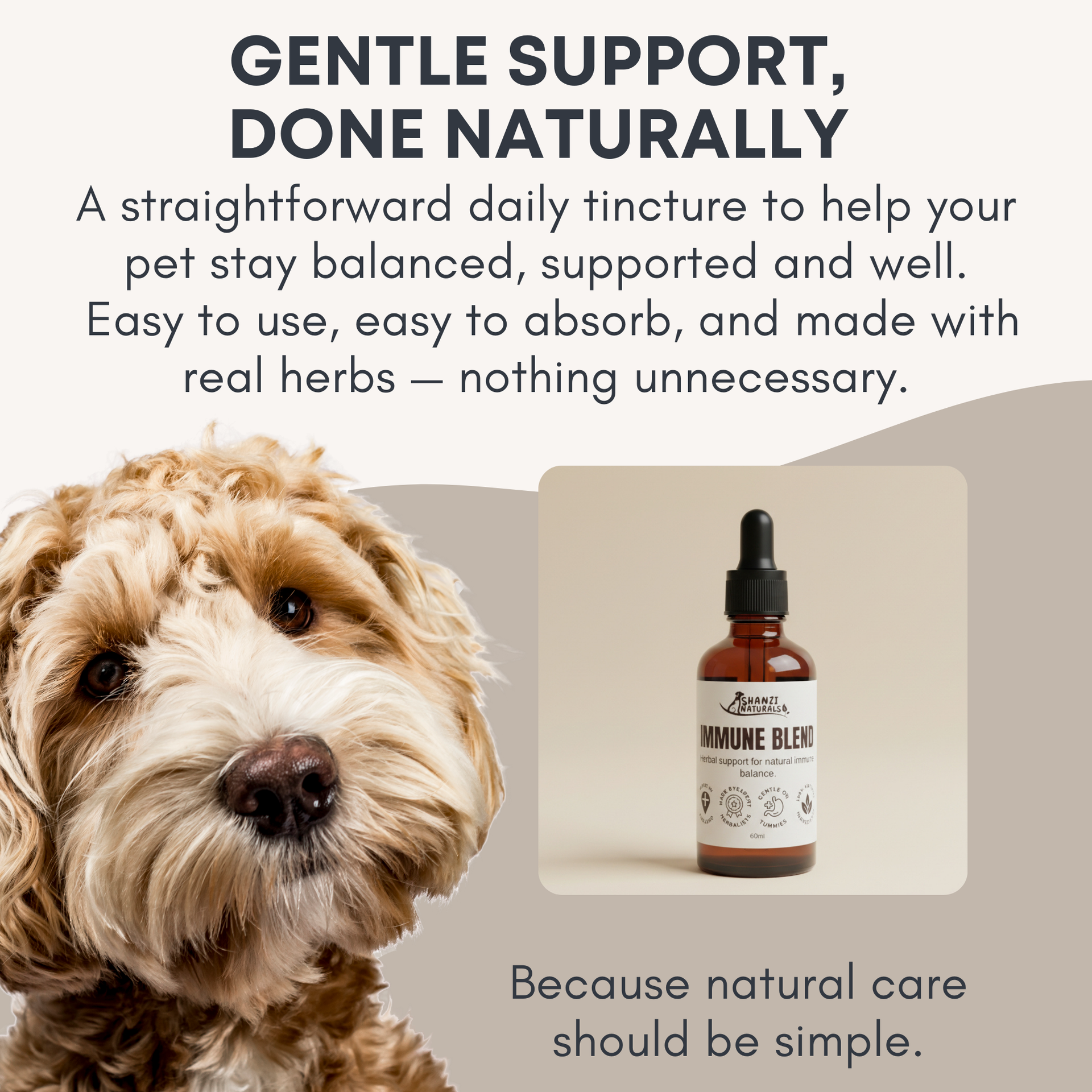 Immune Blend Tincture for Dogs and Cats