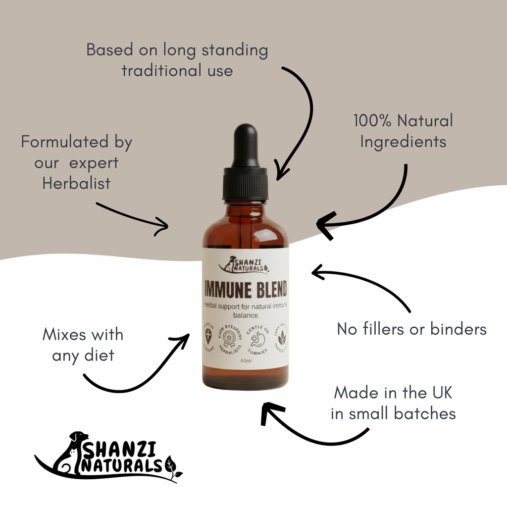 Immune Blend Tincture for Dogs and Cats