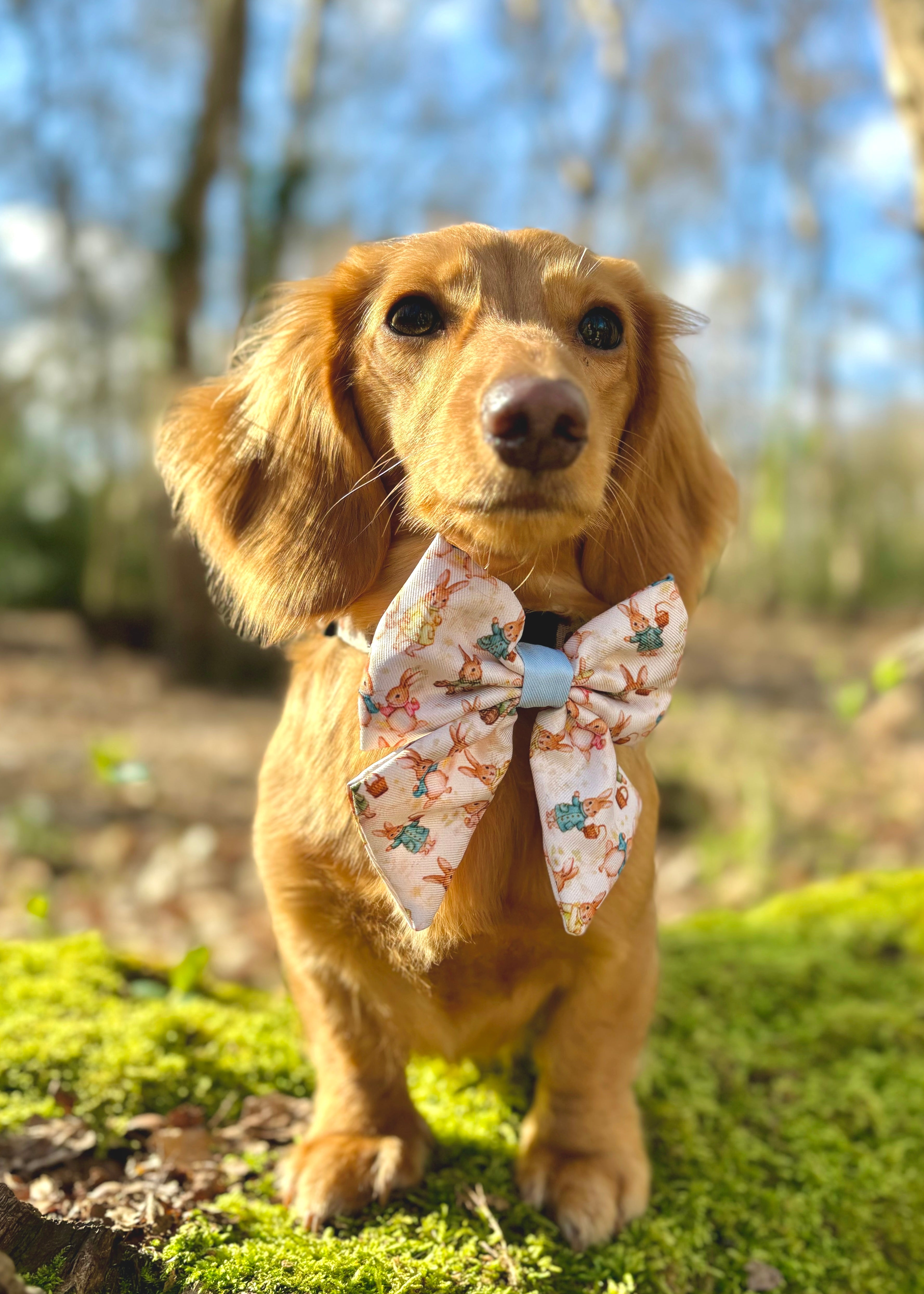 Bunny Tales - Blue, Sailor Bow Tie