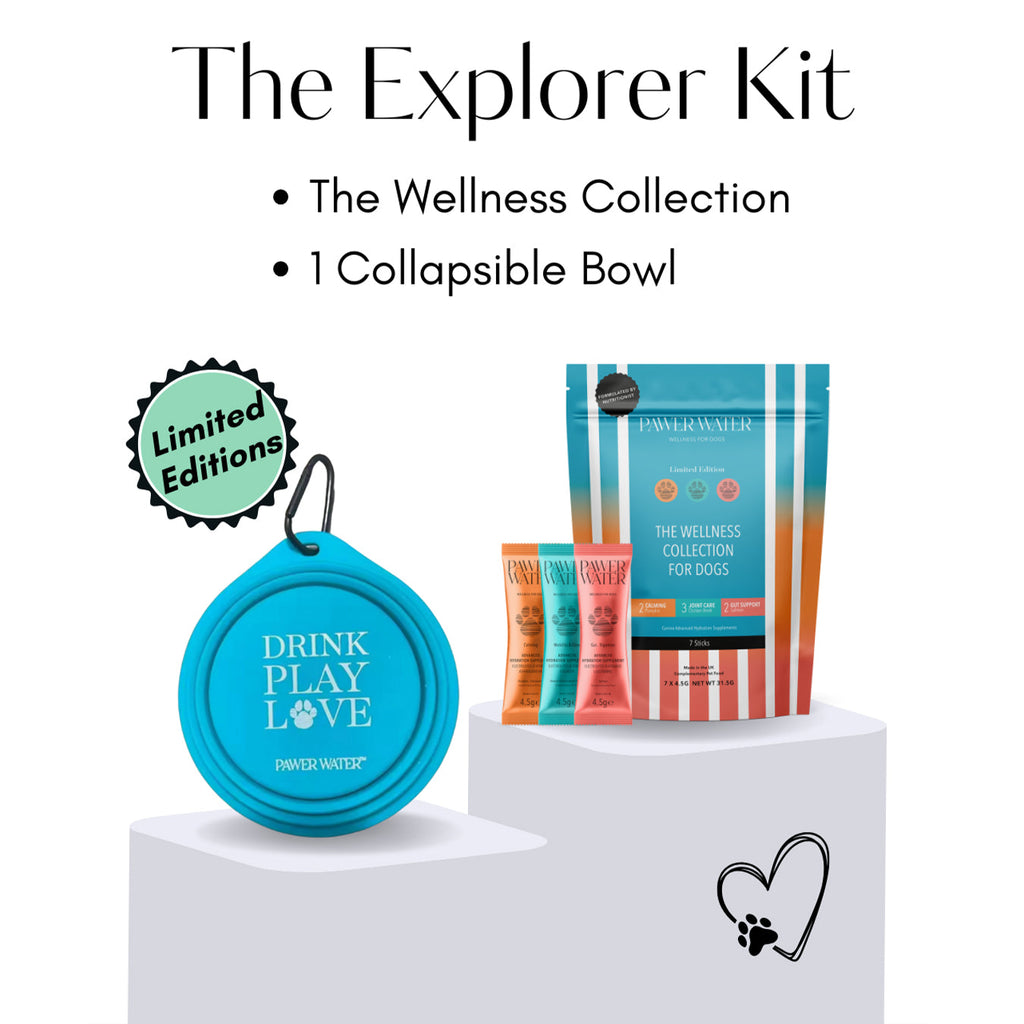 The Explorer Kit