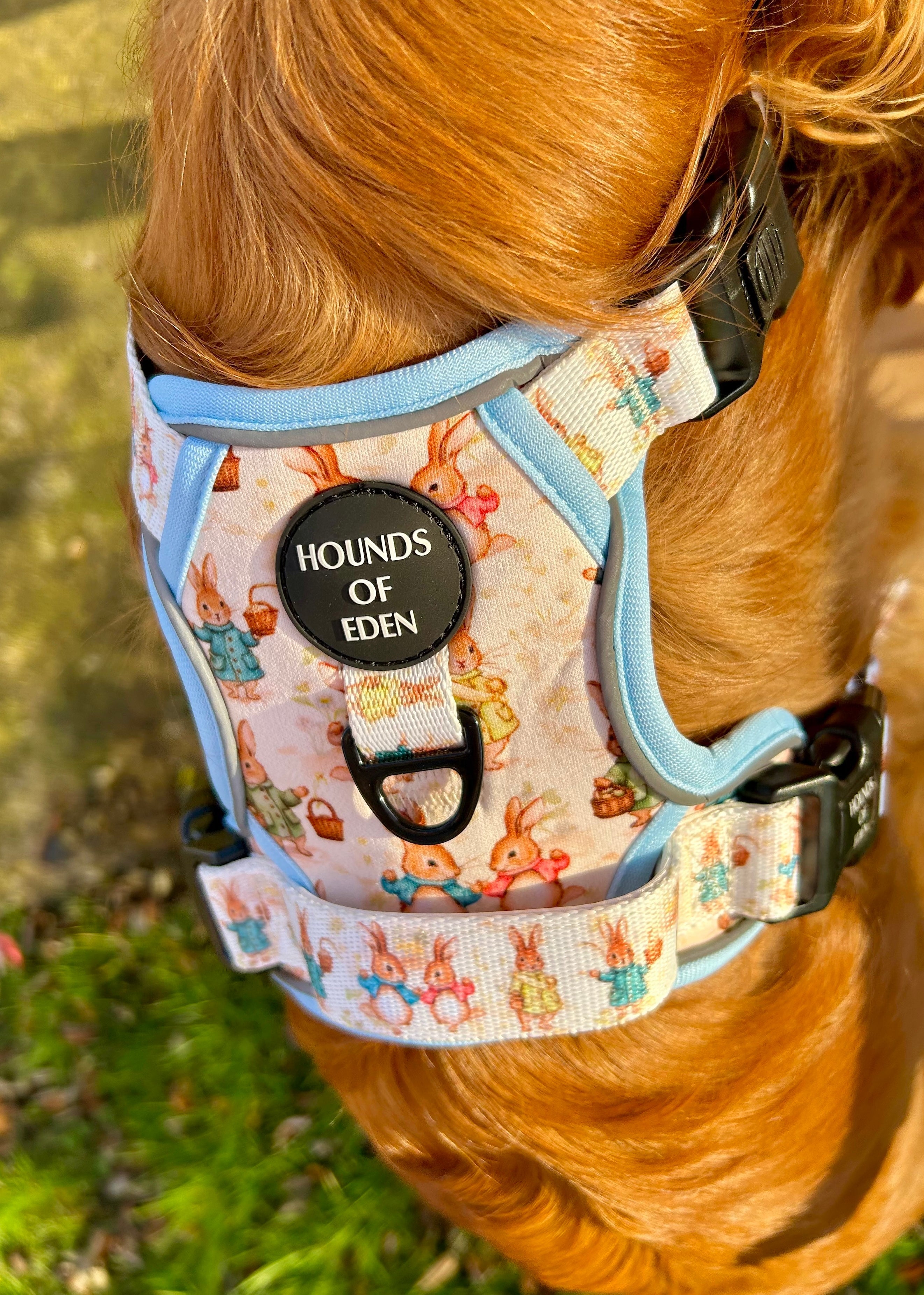 Bunny Tales - Blue, Dog Supaw Strong™ Lite Harness (XS-XL)