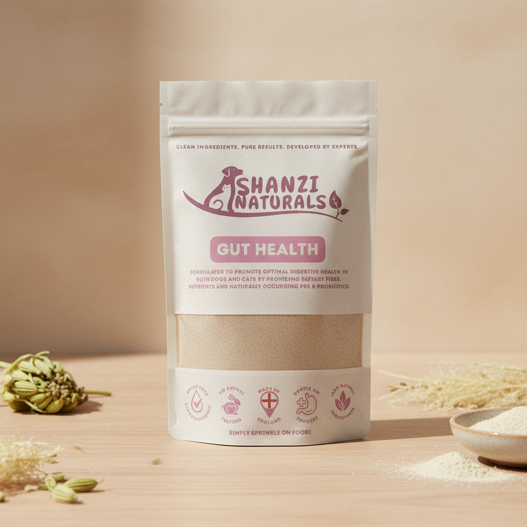 Shanzi Naturals Gut Health product packaging on a wooden surface with natural elements.