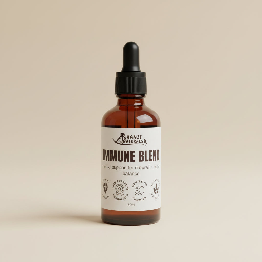 Immune Blend Tincture for Dogs and Cats