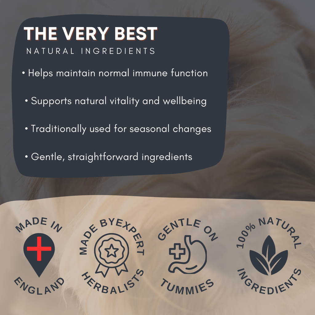 Immune Blend Tincture for Dogs and Cats