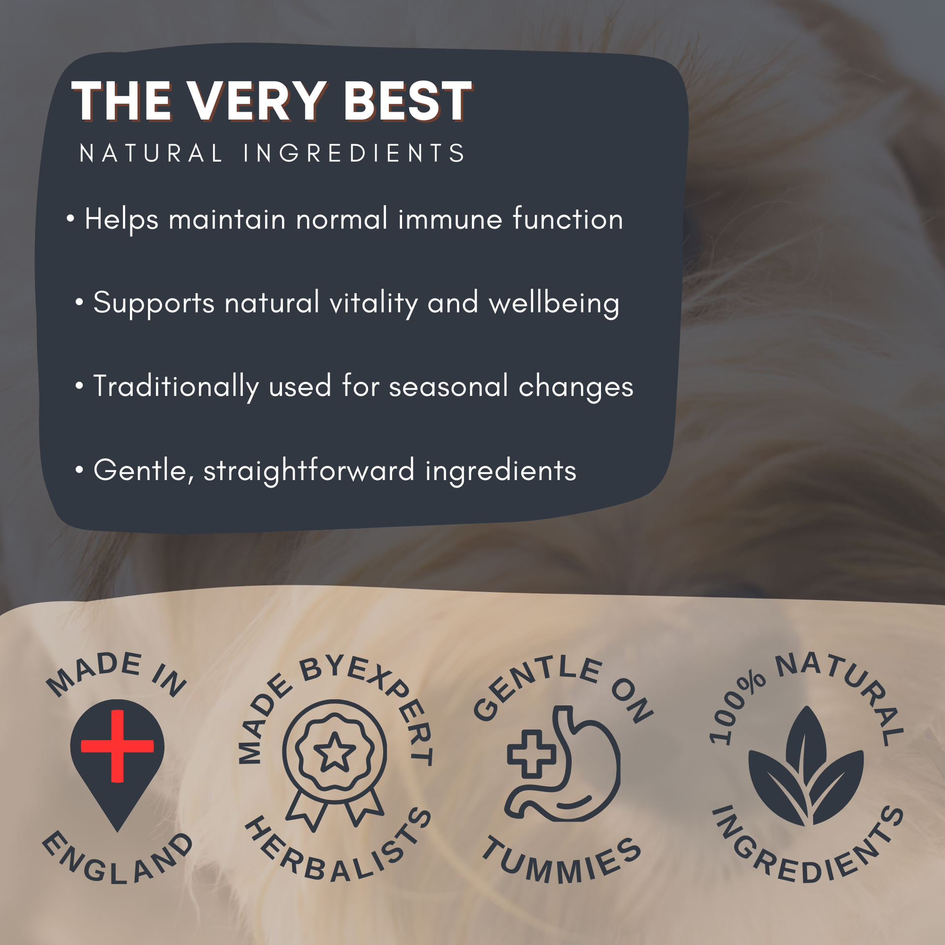 Immune Blend Tincture for Dogs and Cats