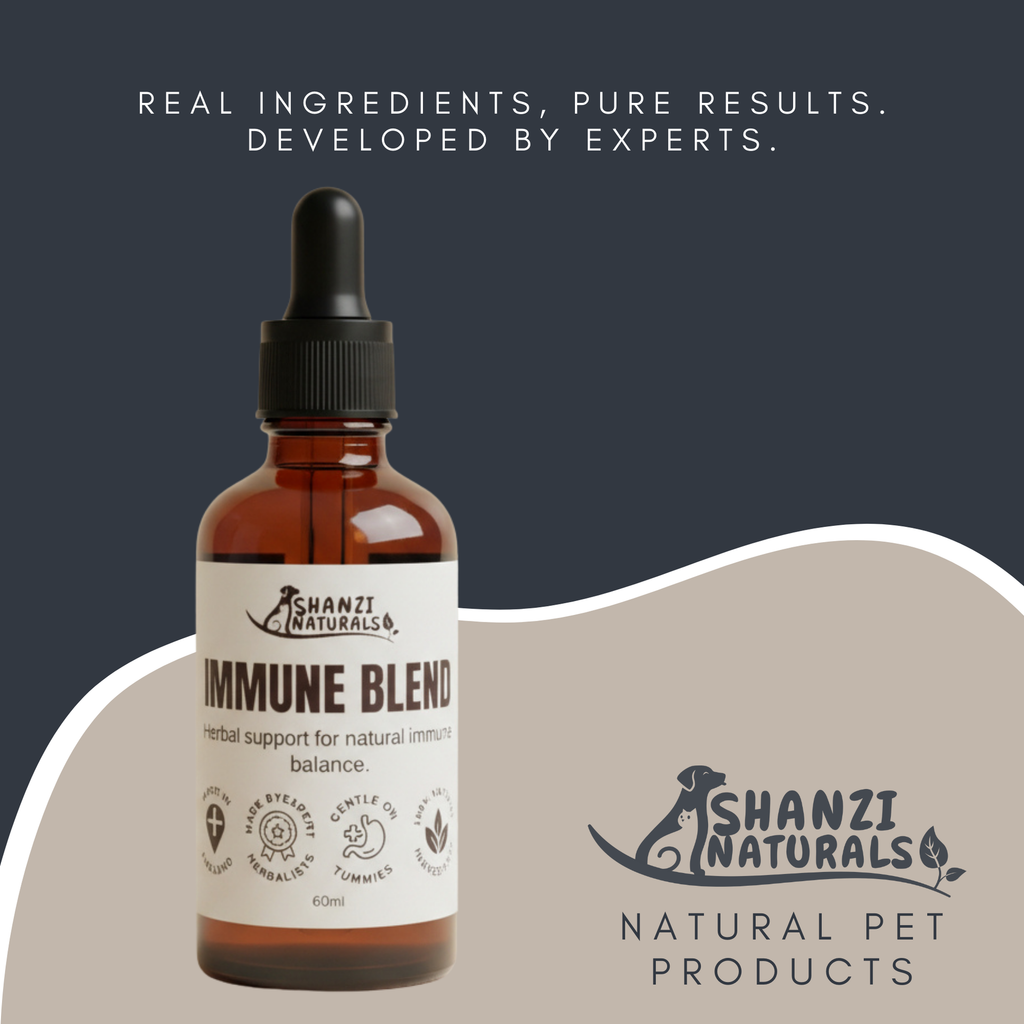 Immune Blend Tincture for Dogs and Cats