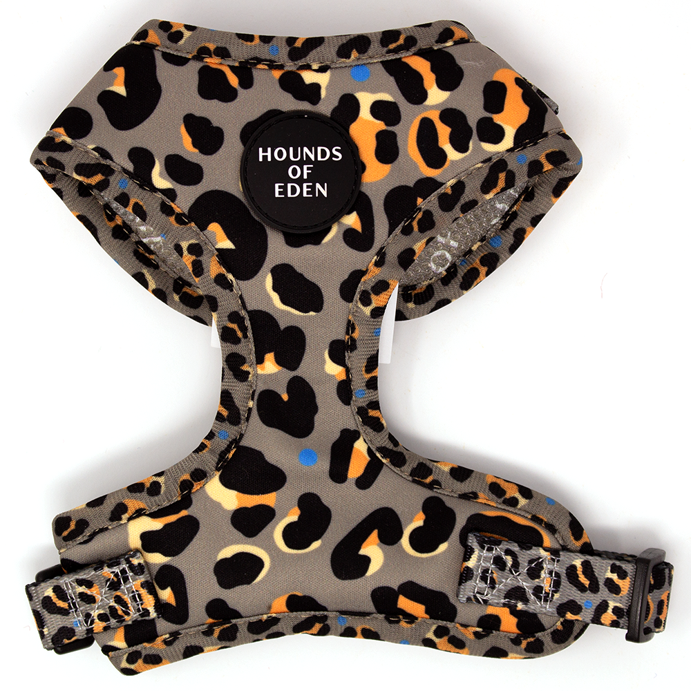 Gray leopard-print Steel Leopard harness with Hounds of Eden logo