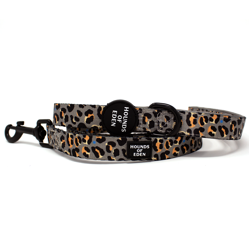 Gray and orange leopard-print Steel Leopard dog leash with black hardware and Hounds of Eden tag
